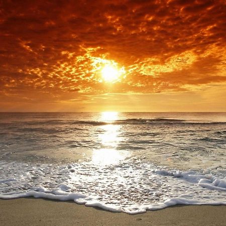 Affordable Two Bedroom Tropical Condo - Private Beach, Pools, Hot Tub St. Petersburg Exterior foto
